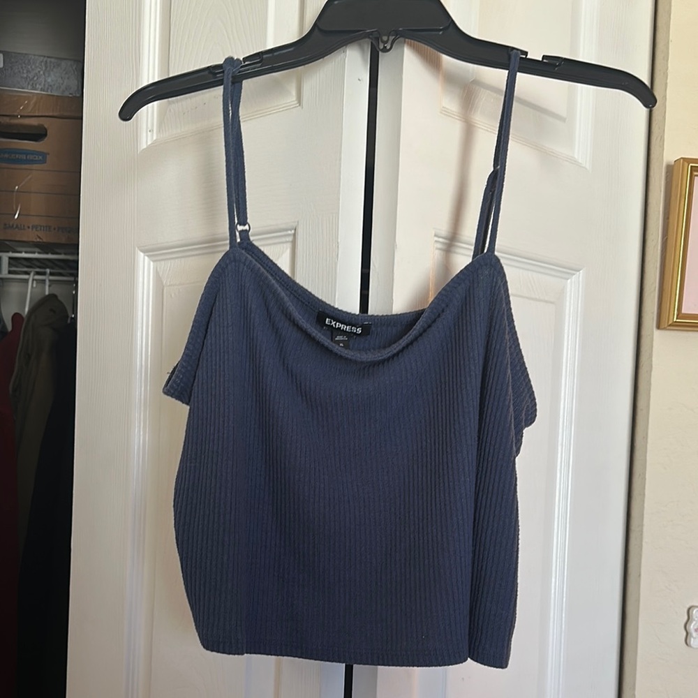 Express Blue Fitted Crop Camisole